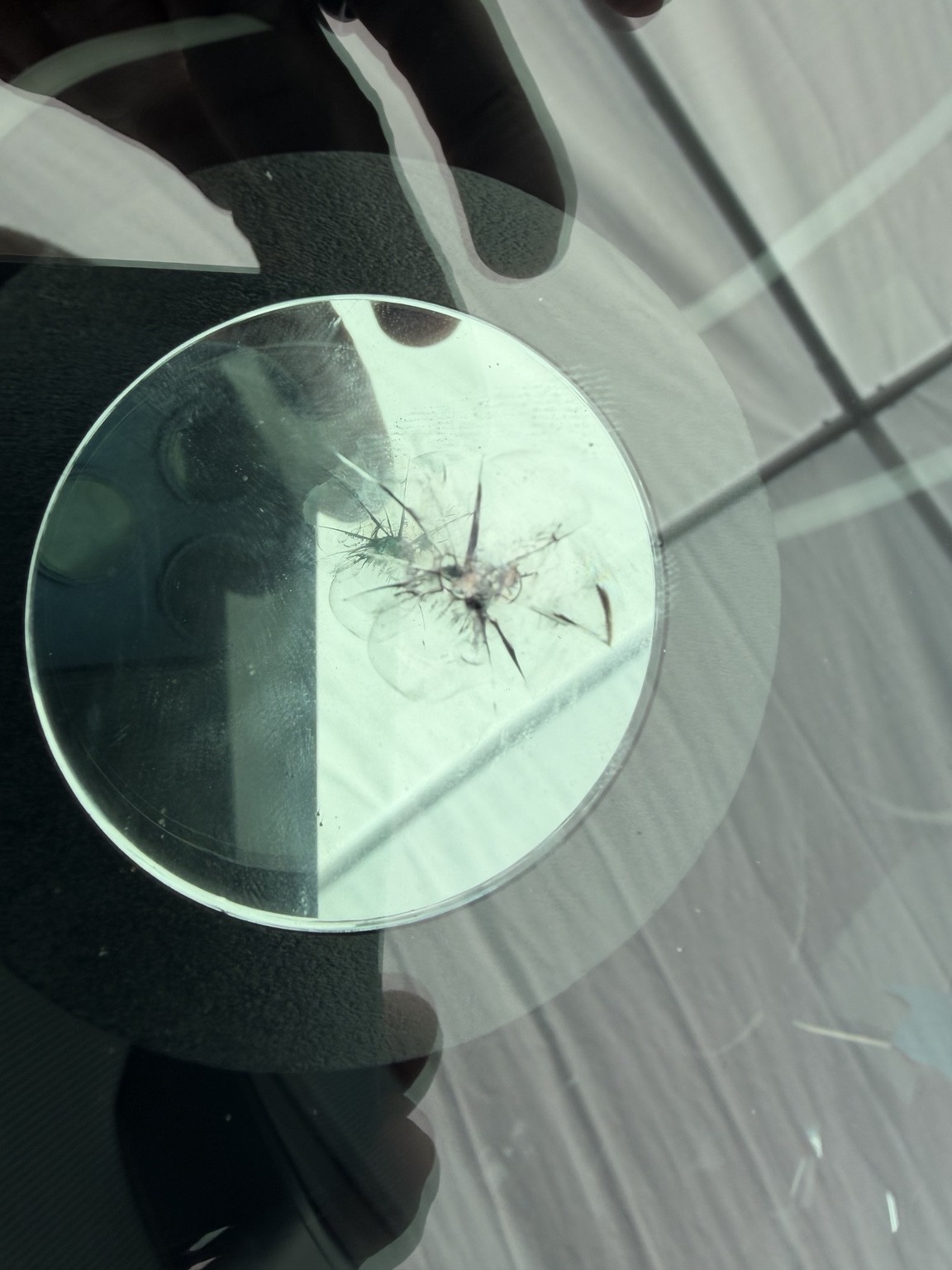 Windshield damage before repair